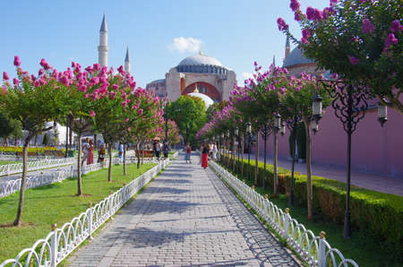 An avenue with flowering trees and in the background the Hagia Sophia, Sultanahmet, Istanbul, Turkeyのeditorial素材