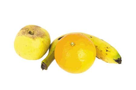 Three fruits isolated on white backgroundのイラスト素材