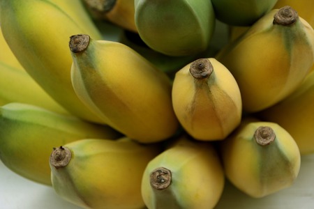 close up of Cultivated bananas or Thai bananasの写真素材