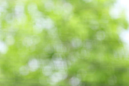 Natural green blurred bokeh background の写真素材