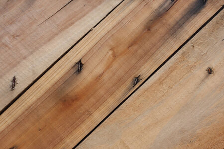 wooden panel for background usageの写真素材