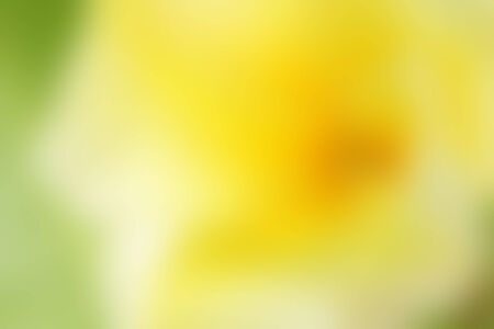Abstract colorful background  Blank copy space  の写真素材