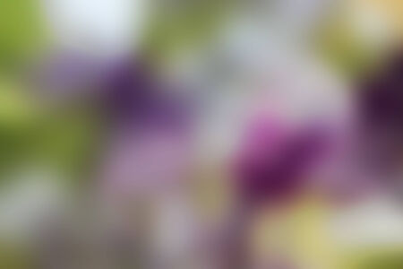 Abstract colorful background  Spring garden の写真素材