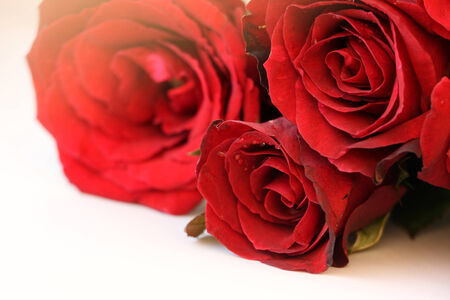 Red roses bouquet isolated on white backgroundの写真素材