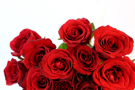 Red roses bouquet on white backgroundの写真素材