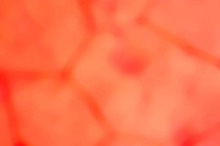 abstract color background.の写真素材