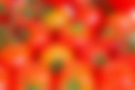 abstract color background. red, orange and green.の写真素材