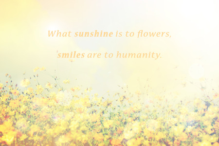 Inspirational Typographic Quote - What sunshine is to flowers, smiles are to humanity. with spring flowers field background.の写真素材