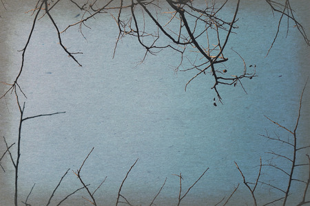 Vintage autumn, Dry branches against blue sky, abstract background.の写真素材