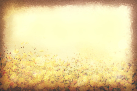 Vintage postcard, Cosmos flower in the field, soft light on old paper texture style image.の写真素材