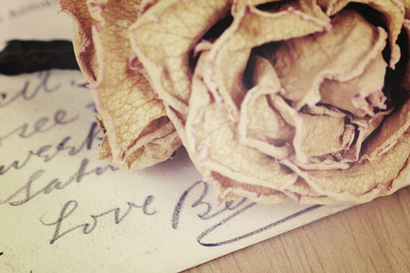 Close up of dry rose and Love word written on card. Soft light vintage style image.の写真素材