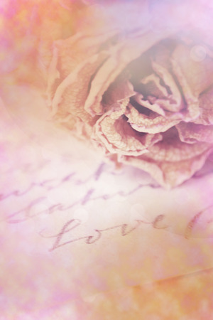 Close up of dry rose and Love word written on card. Lens flare and bokeh effect, vintage photo retro style.の写真素材