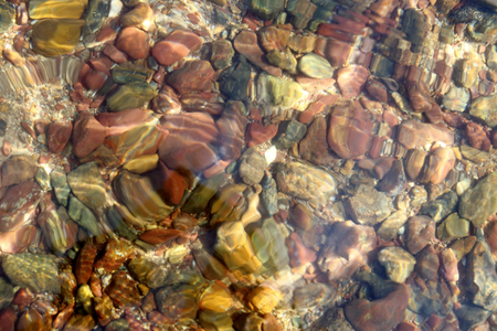 Blurred colored pebbles on the beach with water texture, abstract background.の写真素材