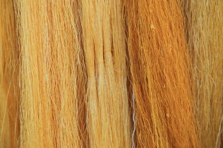Hand made of yellow raw thread silk from silkworm cocoons.の写真素材