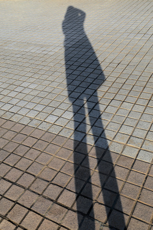 Long shadow of woman figure, taking photograph, on brick stone pavement background.