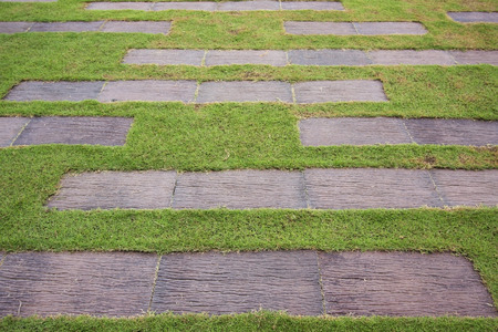 Wooden plate on green grass.の写真素材