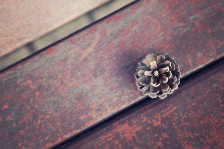 Pine cone on red rusty steel background.の写真素材