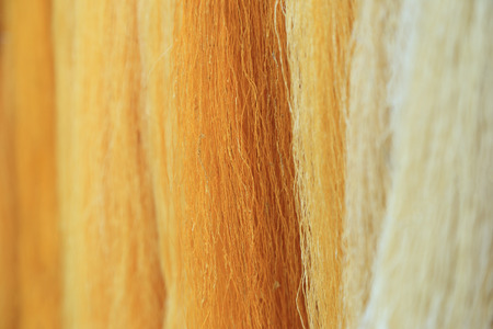 Hand made of white and yellow raw thread silk from silkworm cocoons, selective focus.の写真素材