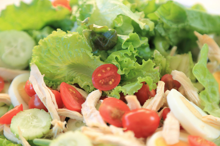 Healthy food, fresh salad with green lettuce and red tomato, close up.の写真素材