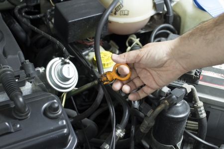 Man checking the motor oil in his carの写真素材