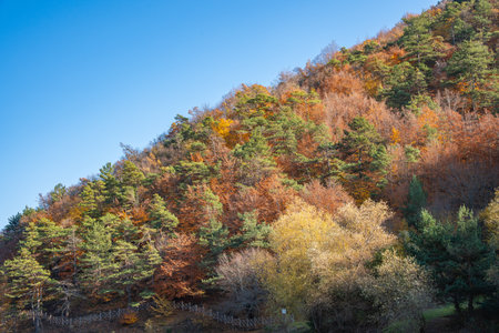 Autumn landscape at Boraboy Lake Nature Park with forested hills and reflections. Beautiful seasonal...