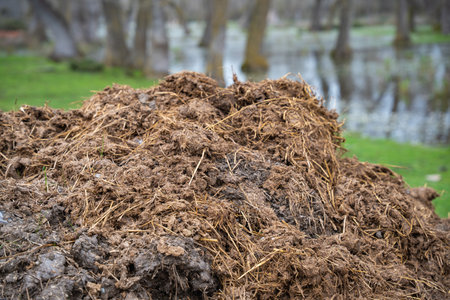 Pile of manure with straw in a rural field near water and farm equipment. Close up of manure heap with straw on green farmland background. Agriculture and rural life conceptの写真素材