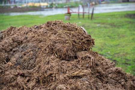 Pile of manure with straw in a rural field near water and farm equipment. Close up of manure heap with straw on green farmland background. Agriculture and rural life conceptの写真素材