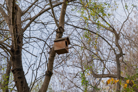 Birdhouse with wooden roof hanging on the tree. Handmade wooden shelter house for birds in forest...