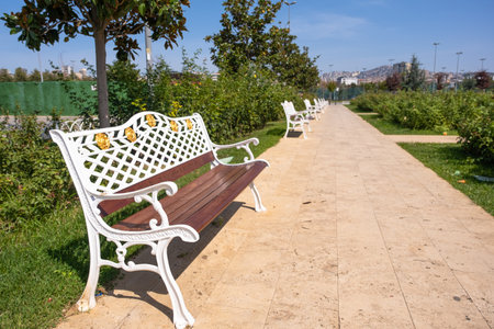 Benches in public city park. Empty chairs outdoor on the walkway.の写真素材