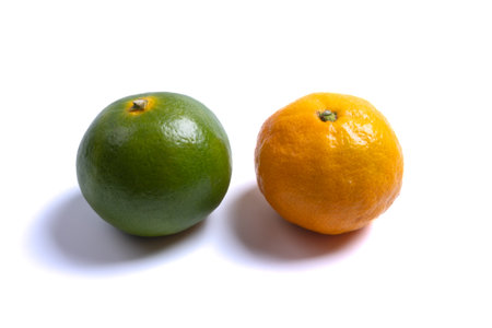 Orange and green tangerine fruit isolated on white background. Close upの写真素材