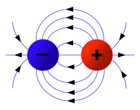 Diagram illustrating electric field lines between negative blue charge and positive red charge, forming a dipole. Physics concept of force and field around two opposite charges on white backgroundのイラスト素材