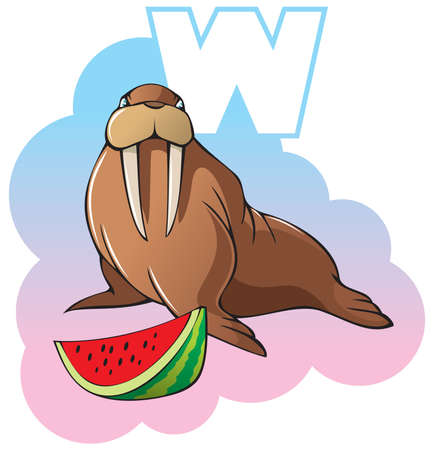 Series of Children alphabet: letter W, walrus and watermelon, cartoon illustrationのイラスト素材
