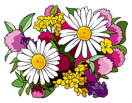 Beautiful bouquet of wild flowers, chamomiles and cloversのイラスト素材
