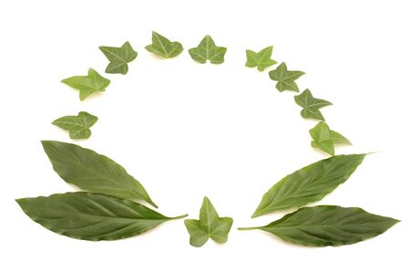 Framework from leaves on a white background 
