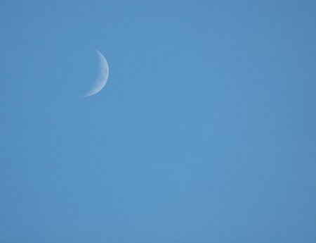 The moon     の写真素材