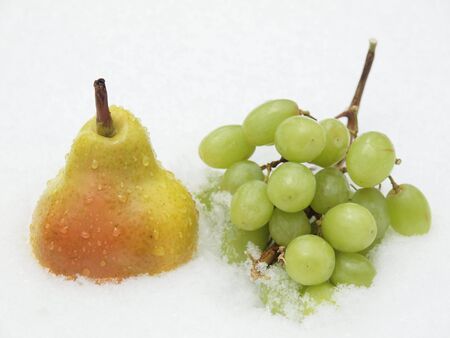 Green grapes and yellow pear on a snow        の写真素材
