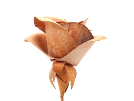 Wooden flower on a white background        の写真素材