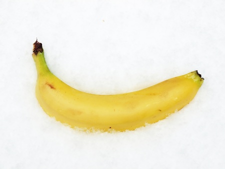 Banana on snow    の写真素材