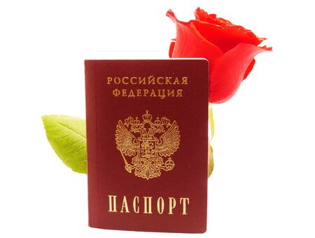 Rose and passport on white backgroundの写真素材