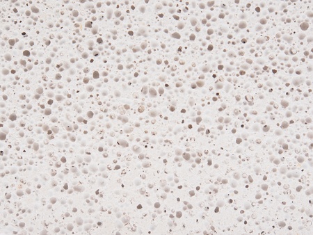 sponge background
