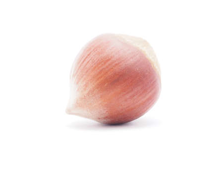 hazelnut