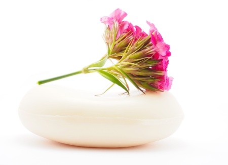 Carnation and soap on a white backgroundの写真素材