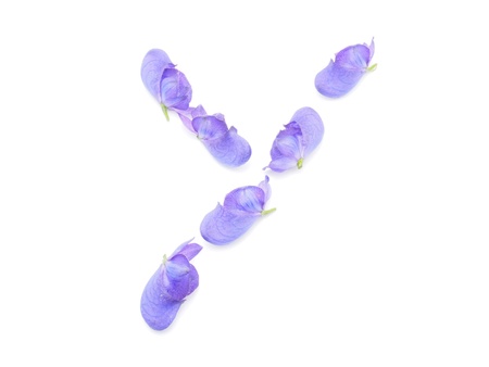 Letters of aconite flowers on a white background on a white backgroundの写真素材