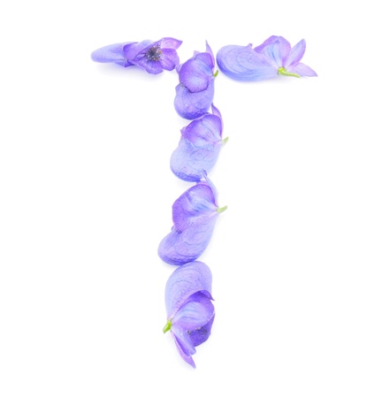 Letters of aconite flowers on a white background on a white backgroundの写真素材