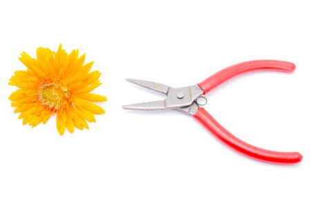 pliers and flower on white backgroundの写真素材