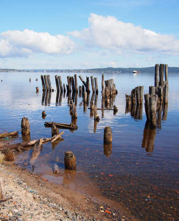 old piles in the lakeの写真素材