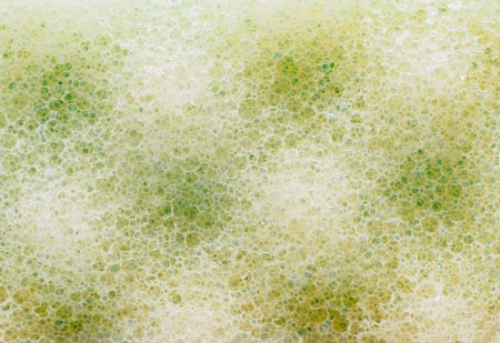 sponge background の写真素材