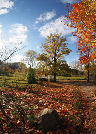 bridge in the autumn park の写真素材