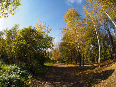 autumn park