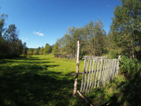 clearing in the woodsの写真素材